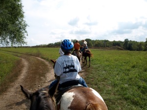 Horseback Riding Minnesota 