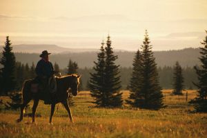 Horseback riding trail rides